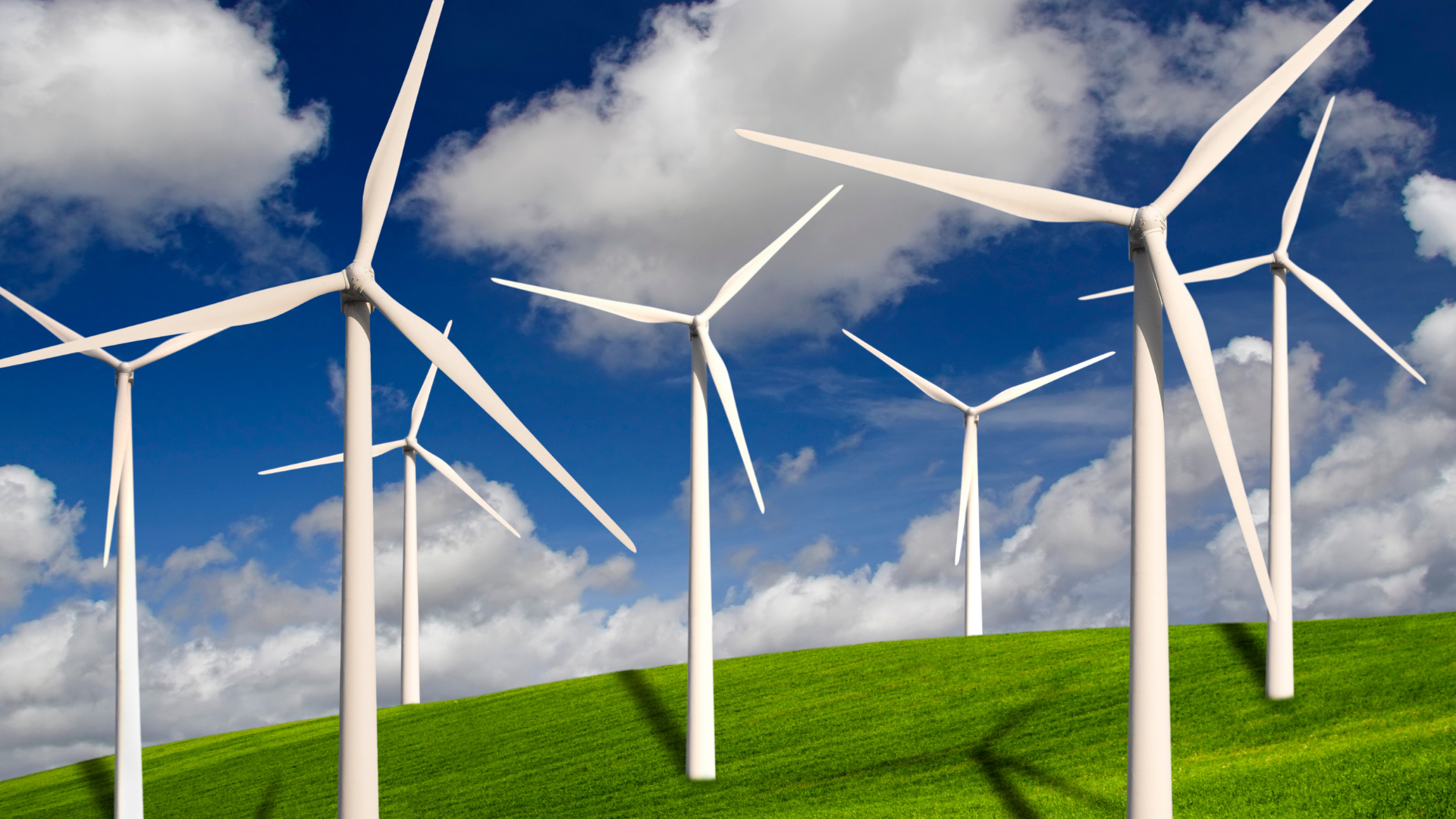 Wind turbine technician collecting wind farm O&M inspection and field data